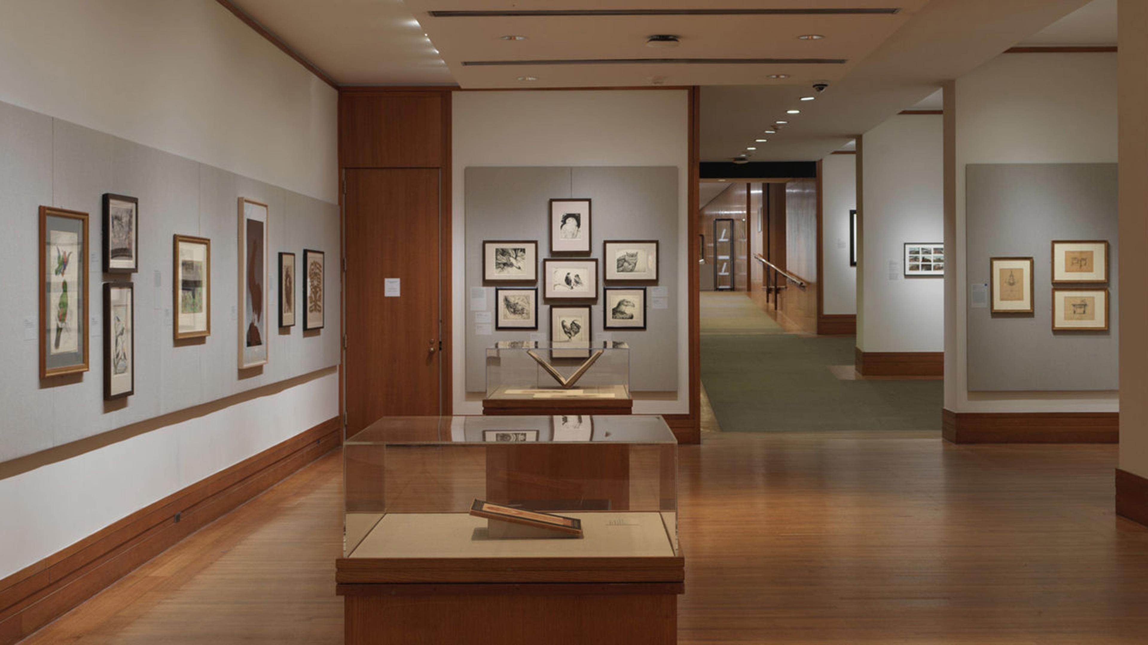 Room with wooden floors, gray walls, and framed drawings and prints.